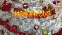 Harmony Duo Band-Muzica de petrecere-colaj Moldova.