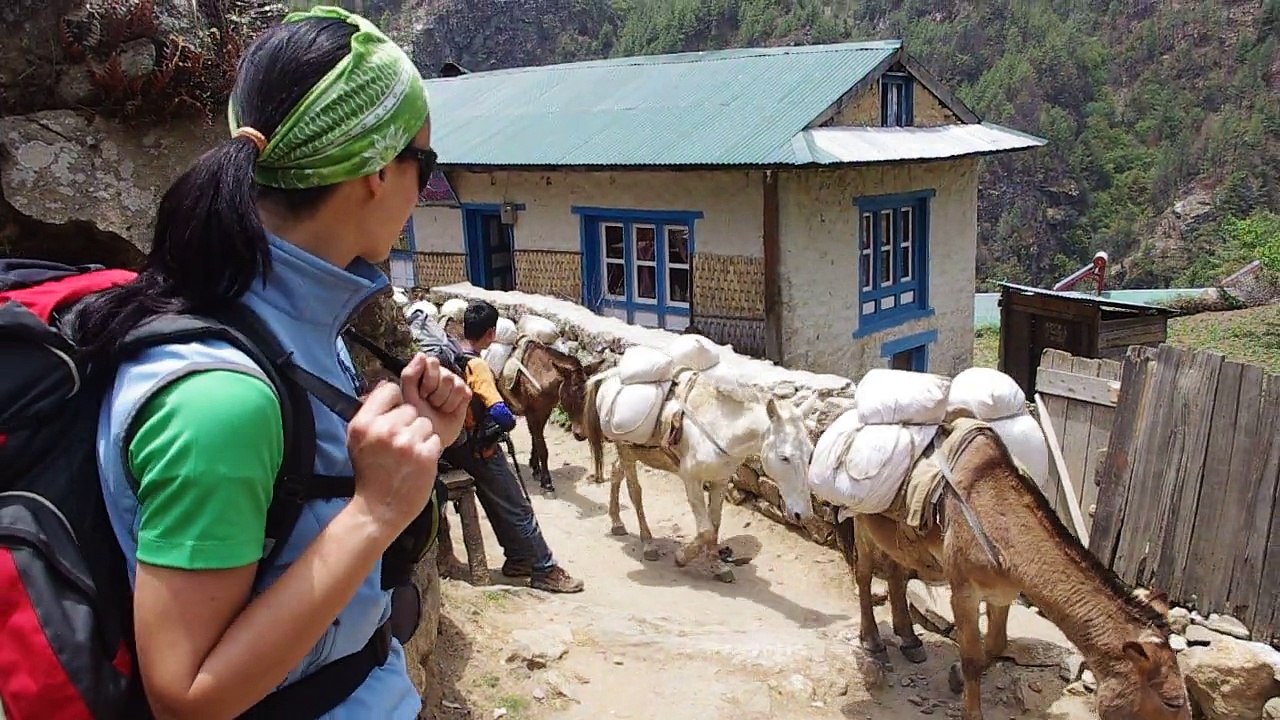 Everest trekking