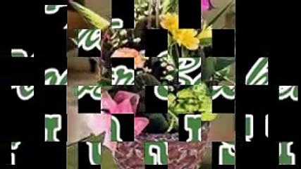 Plant Nurseries in Greenville NC