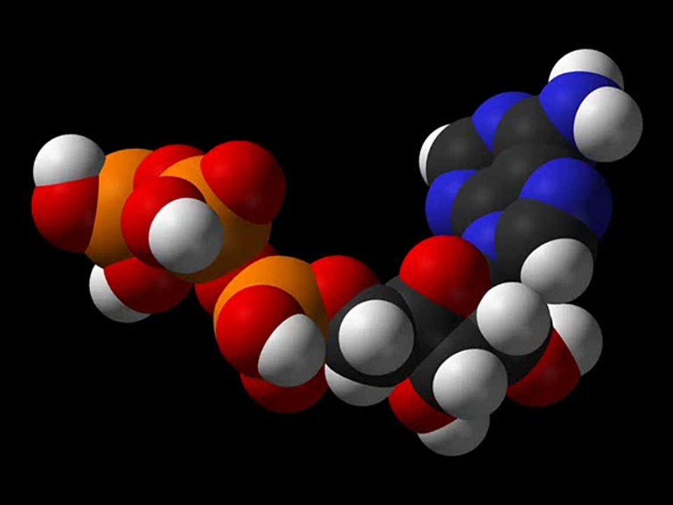Eliminar Grasa Abdominal Aumentando el Metabolismo
