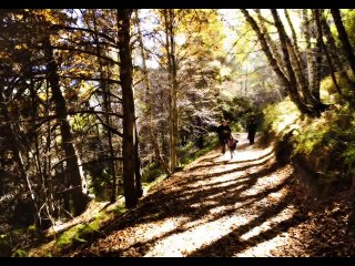 مزمور 120(121) رفعت عيني الى الجبال