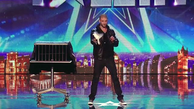 Darcy Oakes jaw dropping dove illusions Britains Got Talent 2014