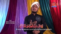 Sarkar Ka Jashan Manana He By Hafiz Mohammad Ali Qadri