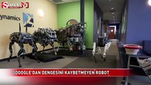 Google'dan dengesini kaybetmeyen robot