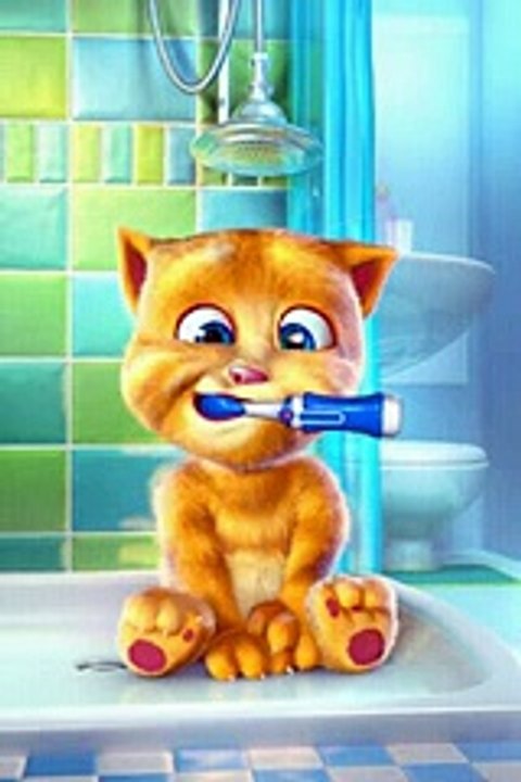 Talking Cat -