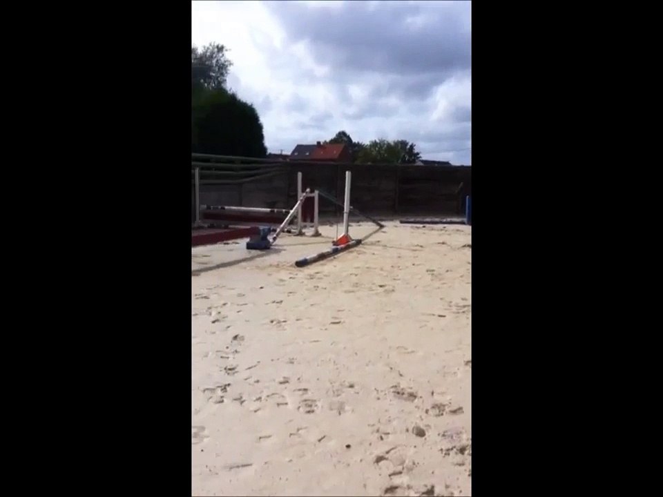 cobold starr 2 ans