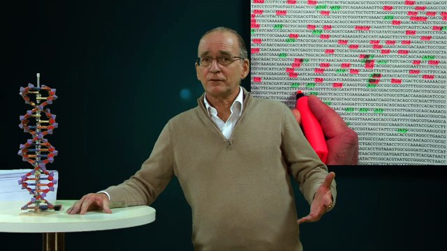 FUN MOOC : Bioinformatique : algorithmes et génomes