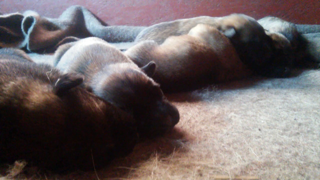 Be Aware H's @ DREAMS - Part 2