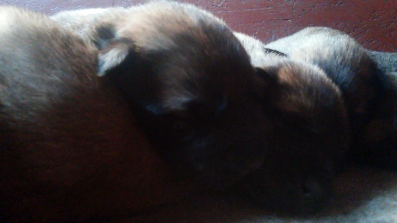 Be Aware H's @ DREAMS - Part 3