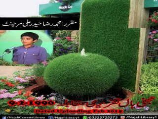 Raza haider Ali Taqreer