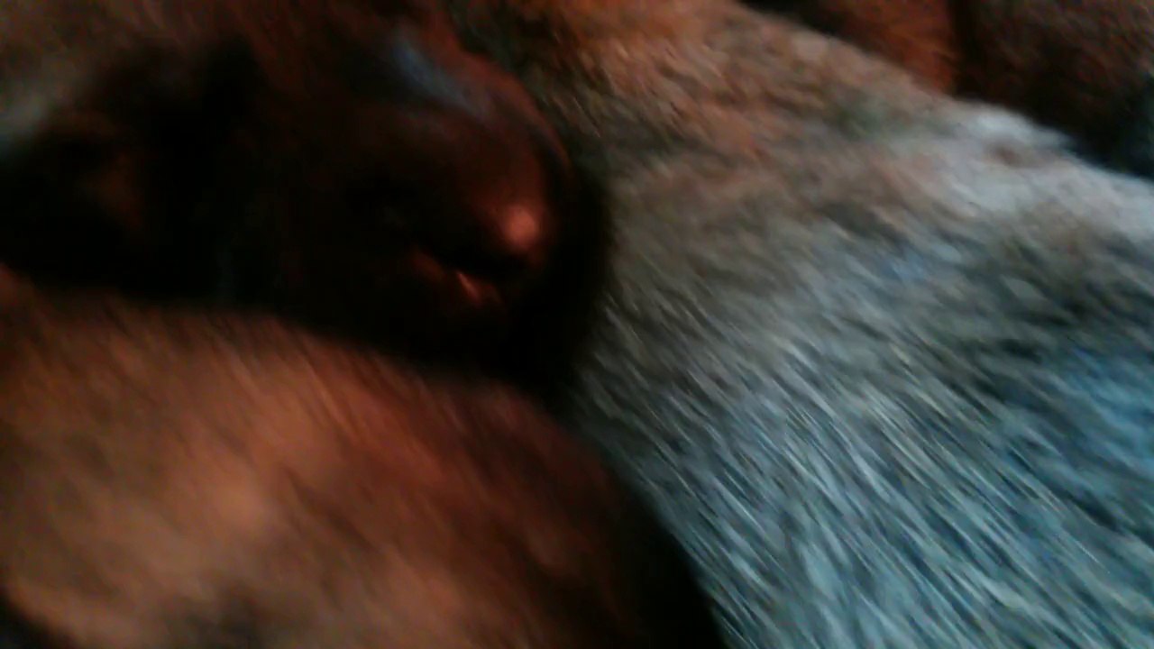 Be Aware H's @ DREAMS - Part 4