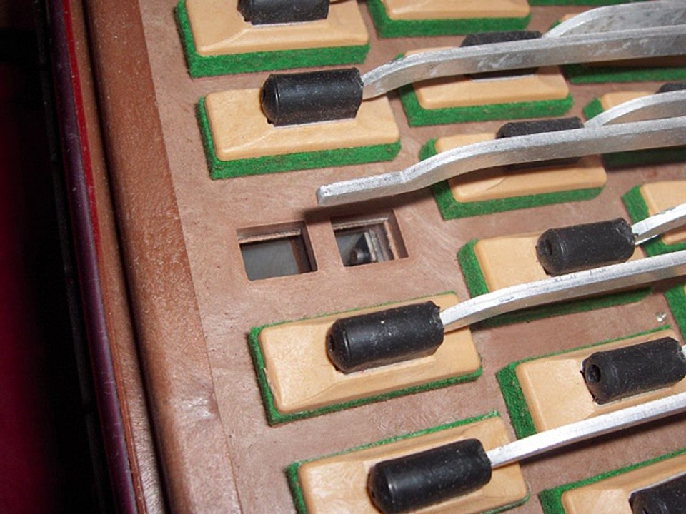 Accordéon: les voix et les registres expliqués en vidéo.