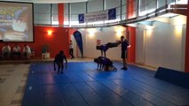 Démonstration de gym accro AS collège Juliot Curie