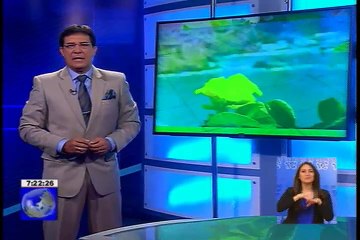 El turismo ecológico de la provincia del Cotopaxi