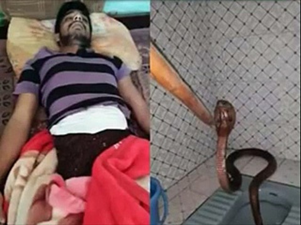 Is it True ?- Shocking Video - Video Dailymotion