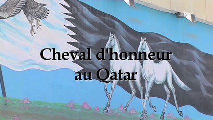 2010-Cheval d'honneur au Qatar