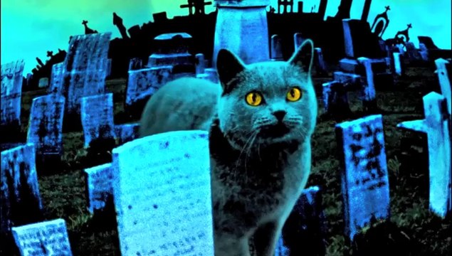 TAKVA ALLAH KORKUSU Gottesfurcht Film Muzik ROGOR MIX