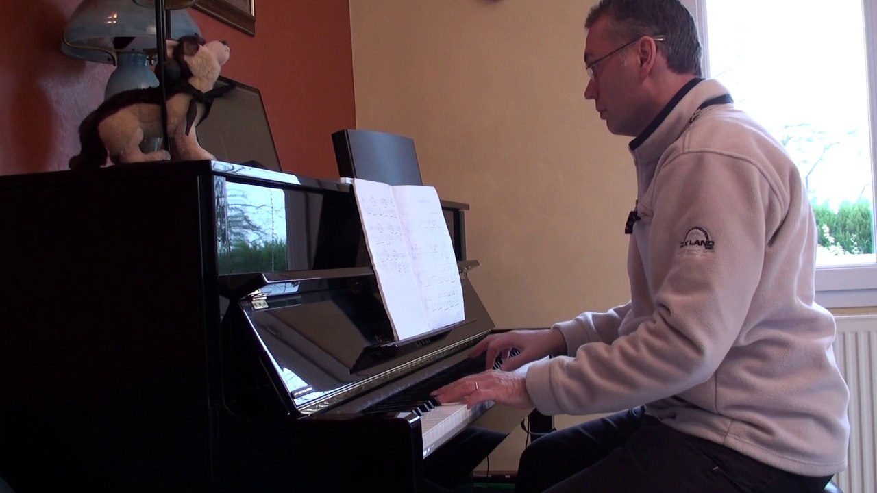 Elle a fait un bébé toute seule , jean jacques goldman version piano solo concert
