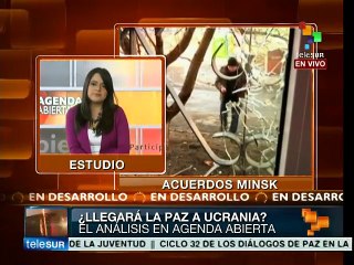 Vía diplomática ha sido importante en el conflicto ucraniano: experto