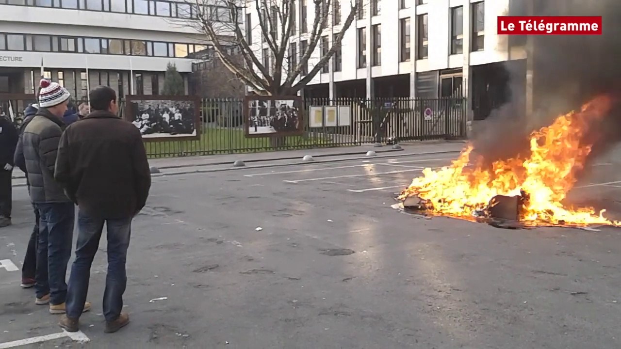 Saint-Brieuc. Une cinquantaine d'éleveurs de porc devant la préfecture