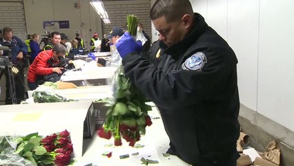 This Is What The Government Does To Your Valentine's Flowers