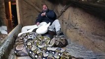 Un python s'attaque à lui pendant son interview !