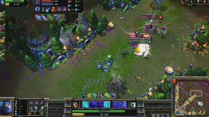 Shen Champion Spotlight