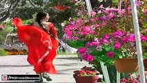KANGNA VE - SAMAR RANA MUJRA - PAKISTANI MUJRA DANCE 2014(1)