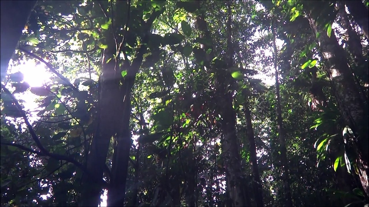 rando traces ruisseaux