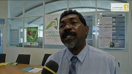 Patrick Sellin, président de la chambre d'agriculture de la Guadeloupe