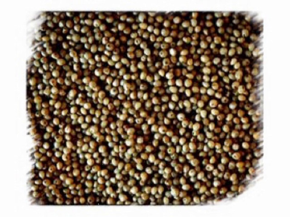 Imagiers-cereales