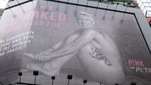 Pink strips down for PETA's new ad campaign