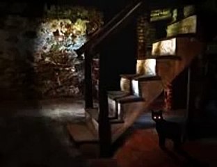 66 - The Black Cat (with Original Commercials) - CBS Radio Mystery Theater