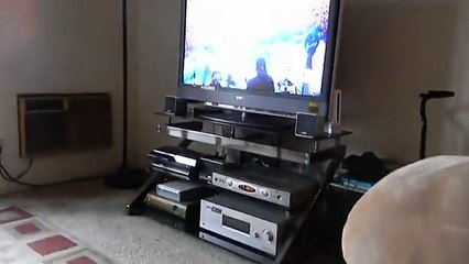 Cat Watching Slayer Video - Super Funny Video