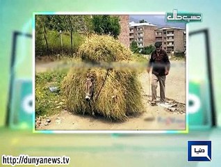 Hasb-e-Haal On Dunya News  - 12 February 2015