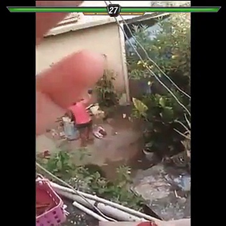 Garden Fight
