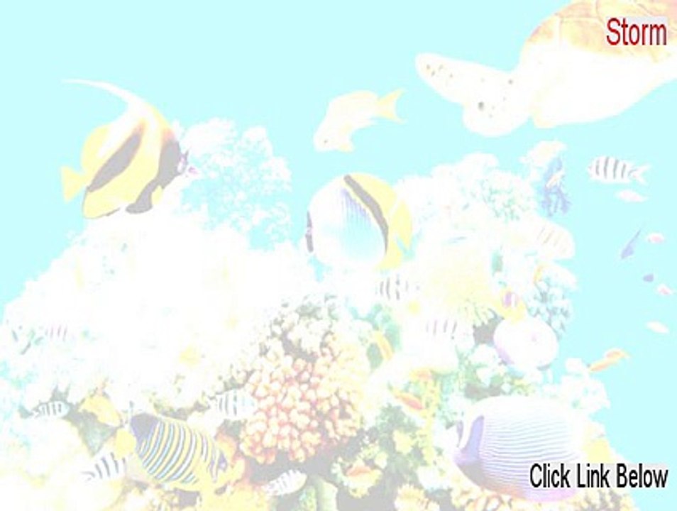 Storm Serial [Legit Download]