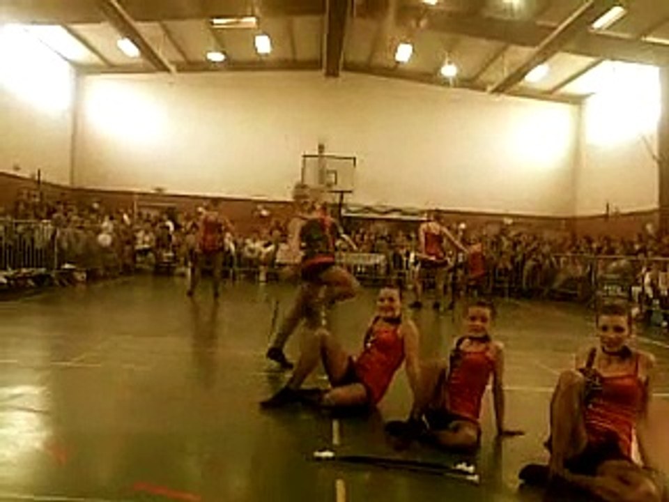 Magnolias Calais à Spycker 2011