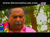 Chahat Episode 31 on Ptv Home in High Quality 12th February 2015 - Dramas Online