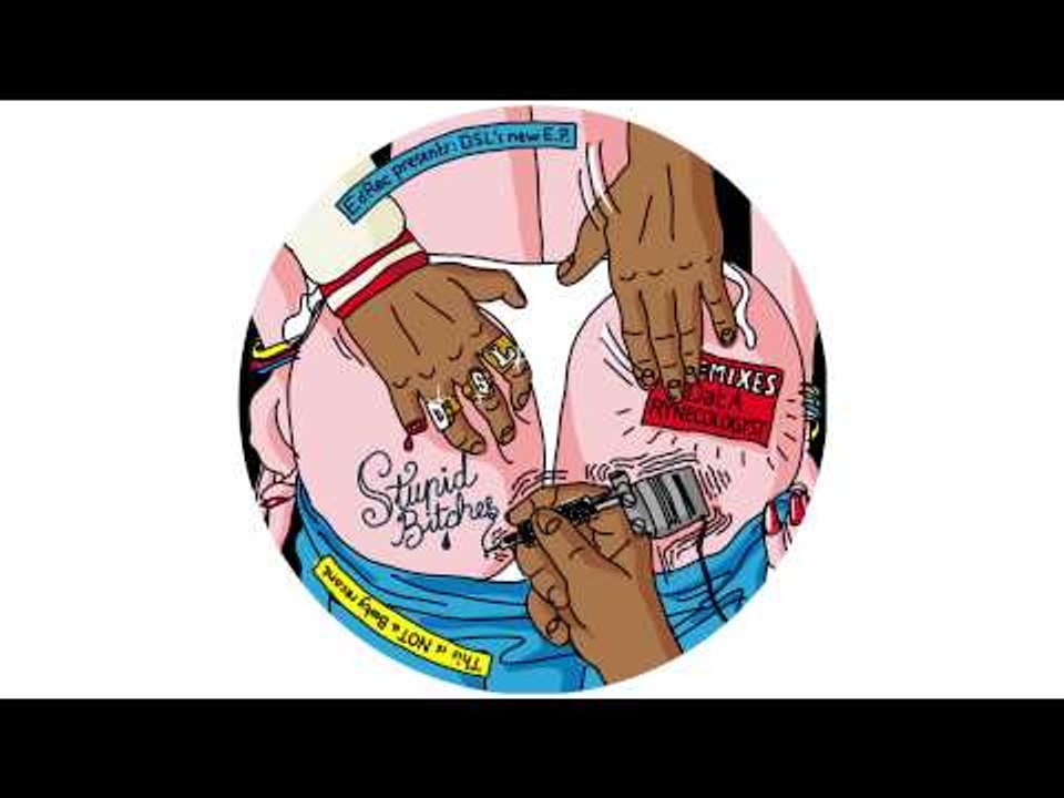 DSL - Stupid Bitches