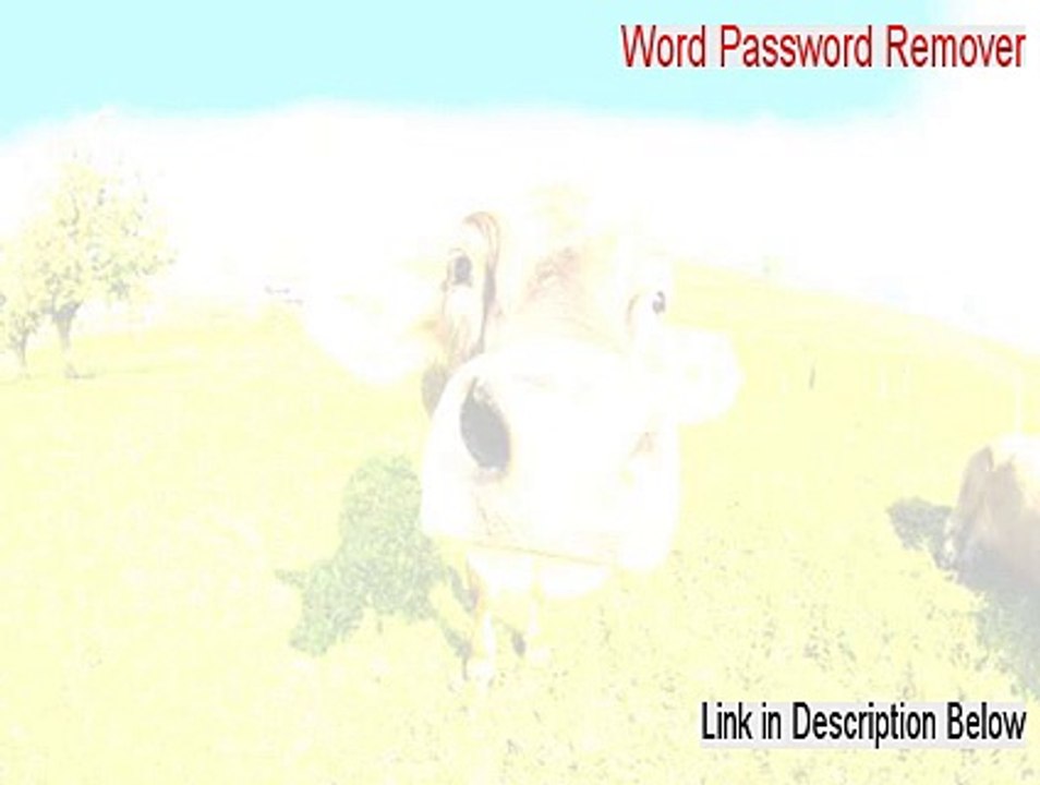 Word Password Remover Serial - Instant Download [2015]
