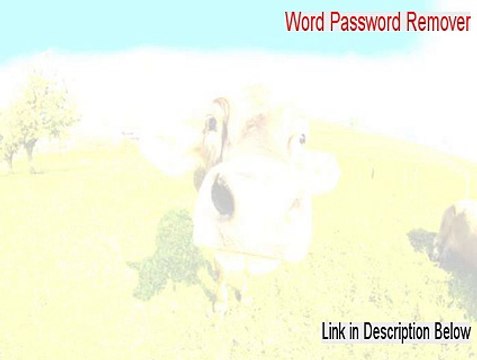 Word Password Remover Serial - Instant Download [2015]