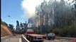 Chile: Forest fires ravage Arauco