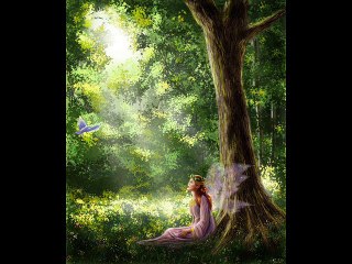 أصحى يا قلبى - عادل مأمون