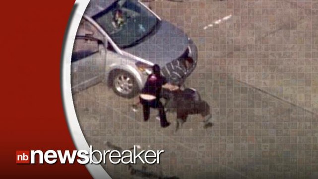 Mama Bear Takes Matters Into Her Own Hands After Carjacker Crashes Into Her Minivan