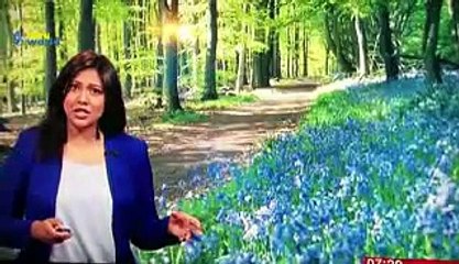 BEST WEATHER NEWS BLOOPERS 2014 - 2015 - Funny Videos - HD