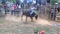 JARIPEO DEL PUEBLO EN EL RANCHO UN PAR DE TOROS DE LA GANADERIA DE LA REGION JINETES BOCA DEL MONTE MEXICO