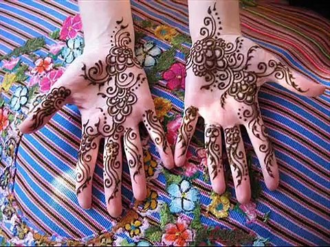 Mehndi Designs Collection All Kinds of Henna Designs