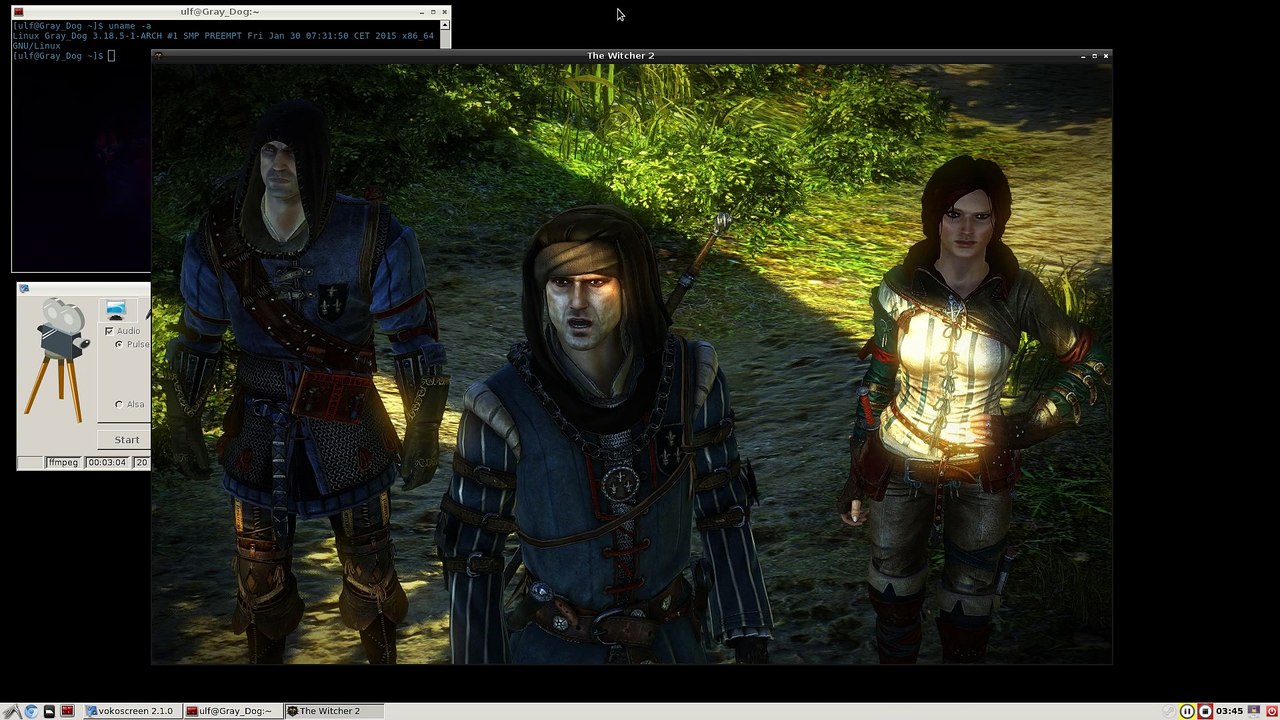 Arch Linux : The Witcher 2 [Steam native (linux_public_beta)]