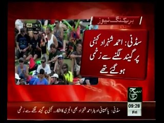 Ahmed Shehzad Injured before World Cup